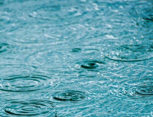 Cleaning Your Pool After a Hurricane or Storm
