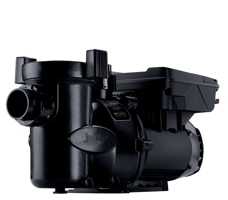 pumimgthree-800×700